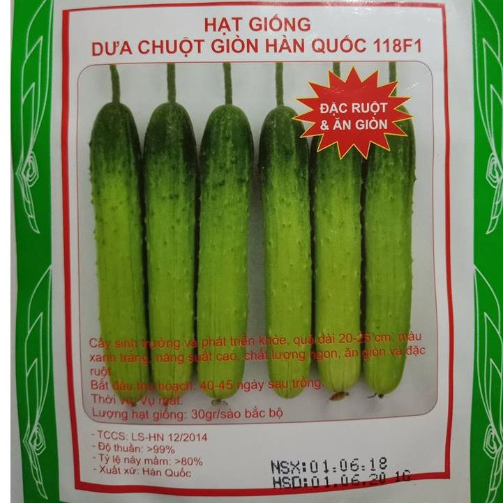 Túi 10 Hạt Giống Dưa chuột giòn hàn quốc . Hạt Giống Chất Lượng Cao
