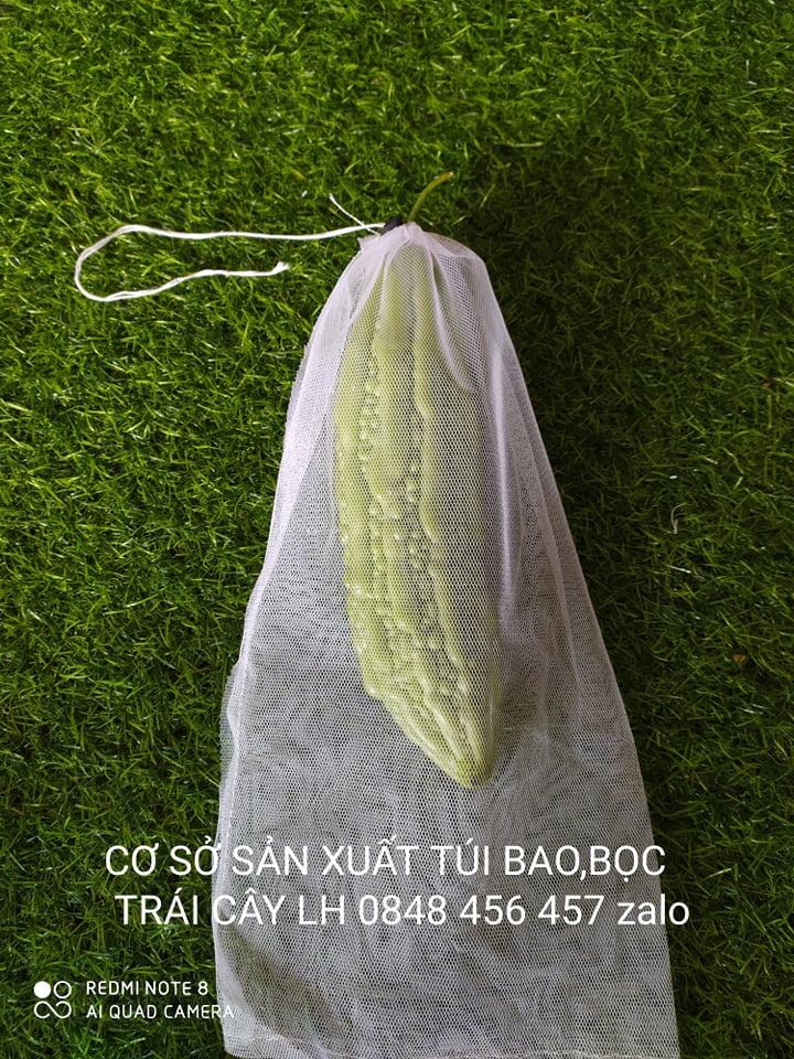 [20*35cm] 100 CÁI TÚI BAO BỌC XOÀI,BƠ 034 ,MƯỚP,KHỔ QUA KÍCH THƯỚC 20*35