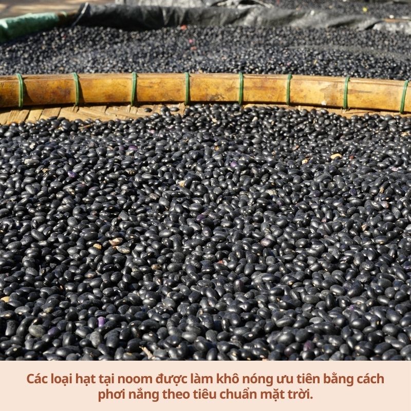 Đậu đen tây - Noom