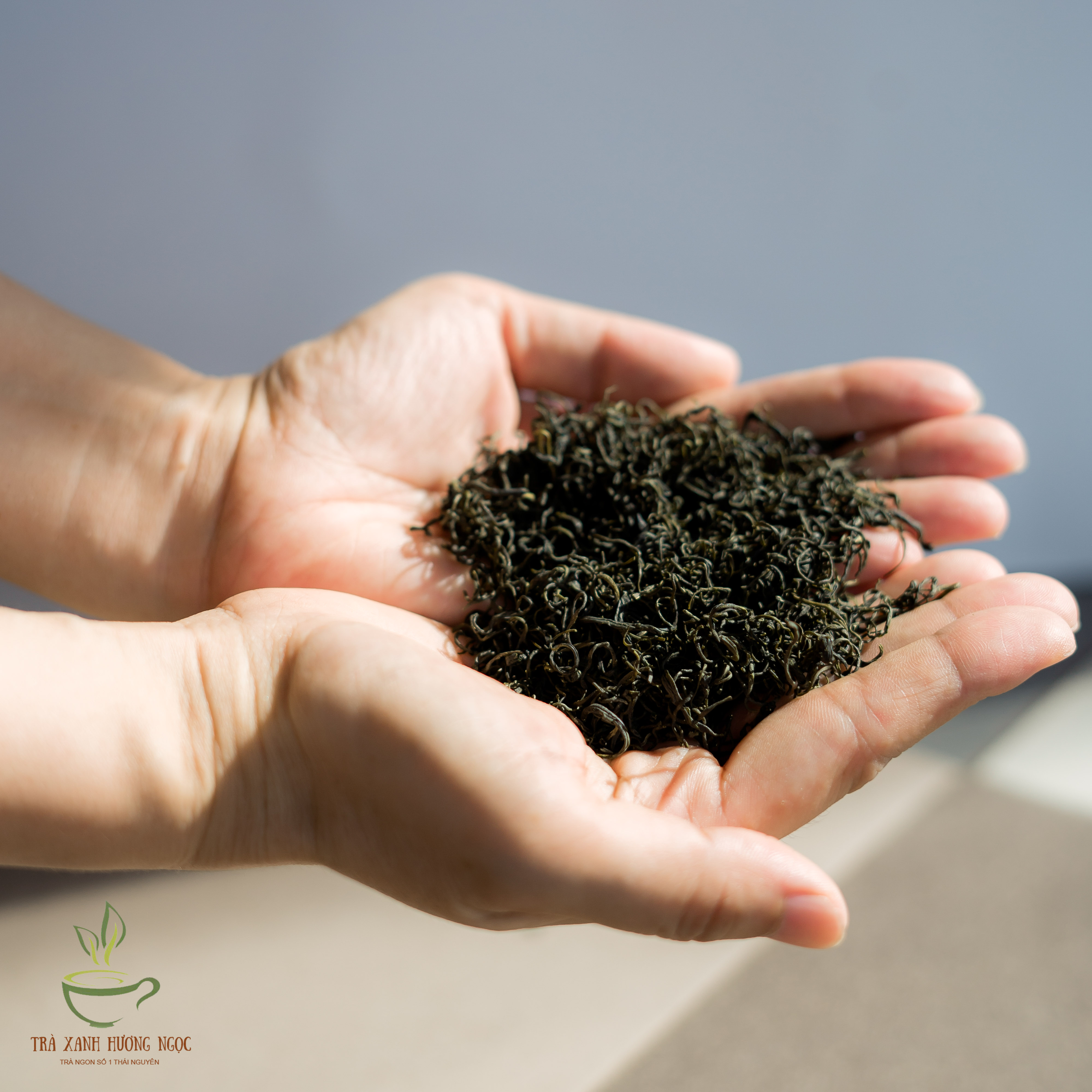 [Chính gốc Tân Cương Thái Nguyên] - Trà Đinh Nõn Tân Cương - [100g/200g]