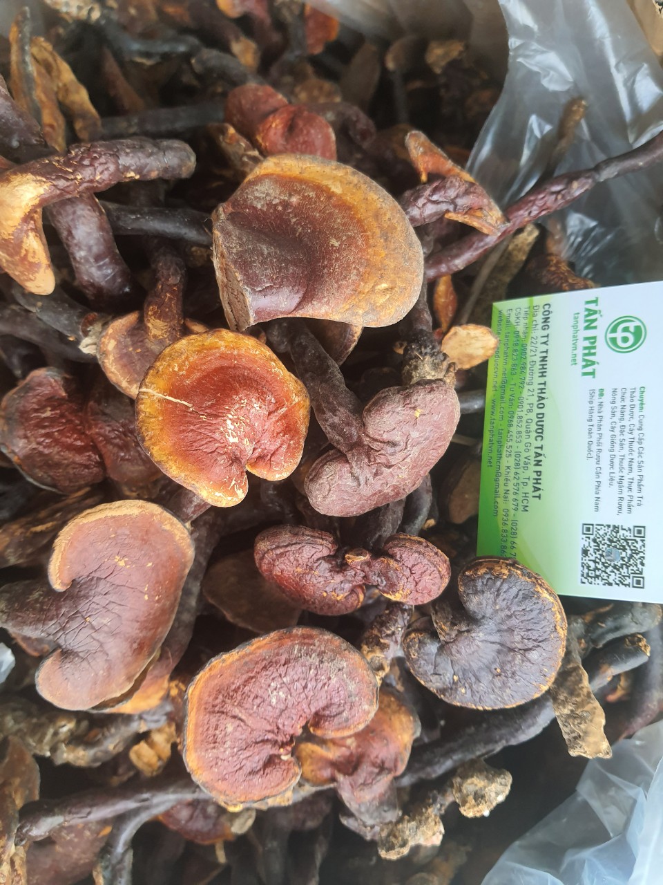 Nấm lim xanh rừng 100g cao cấp - Tấn Phát