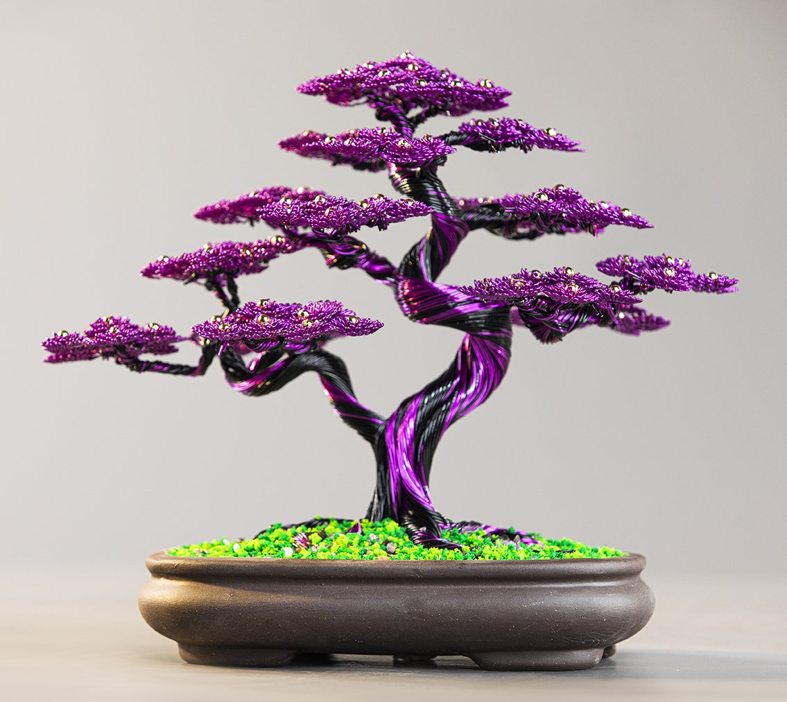 Cây tài lộc bonsai phong thủy (5 màu phong thủy)