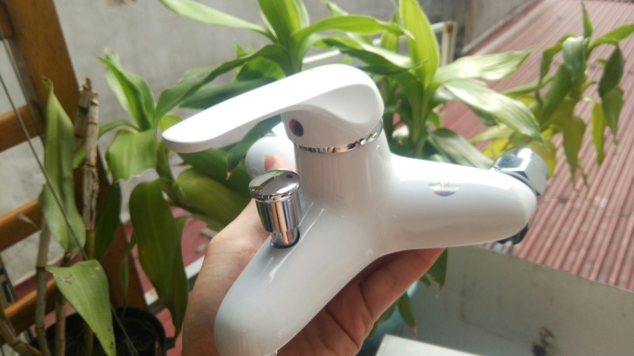 Củ sen tắm nóng lạnh Caesar trắng sứ