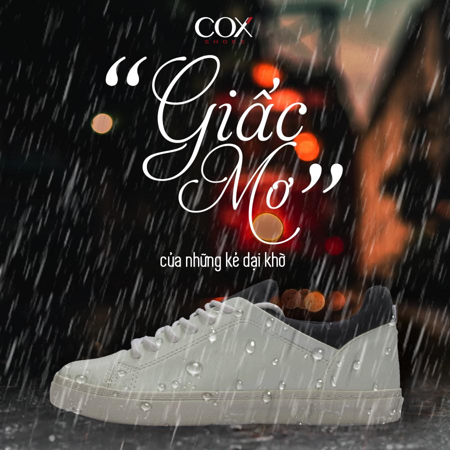 cox 43