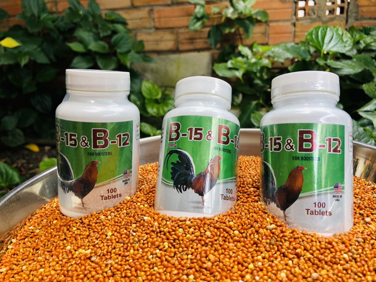 Mega B12 dinh dưỡng cho gà đá