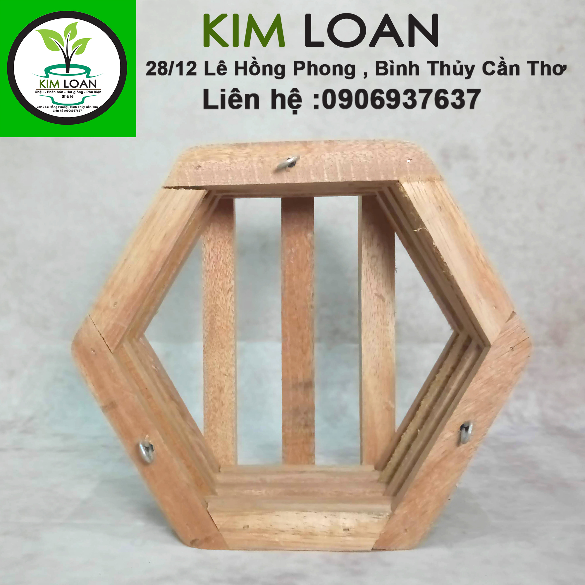 Chậu lan gỗ lục giác 21x10cm
