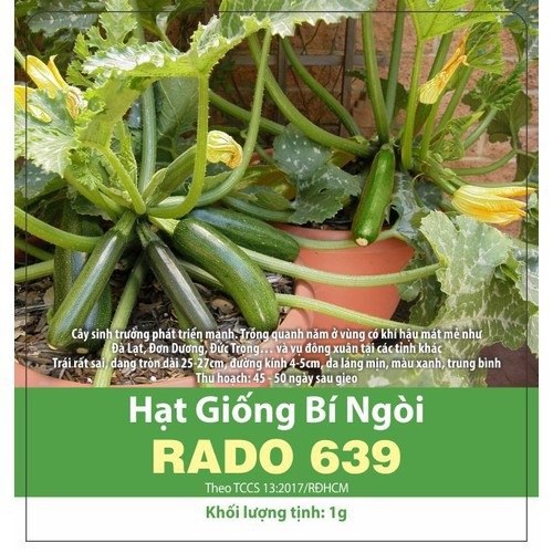 Hạt Giống Bí Ngòi Xanh Rạng Đông