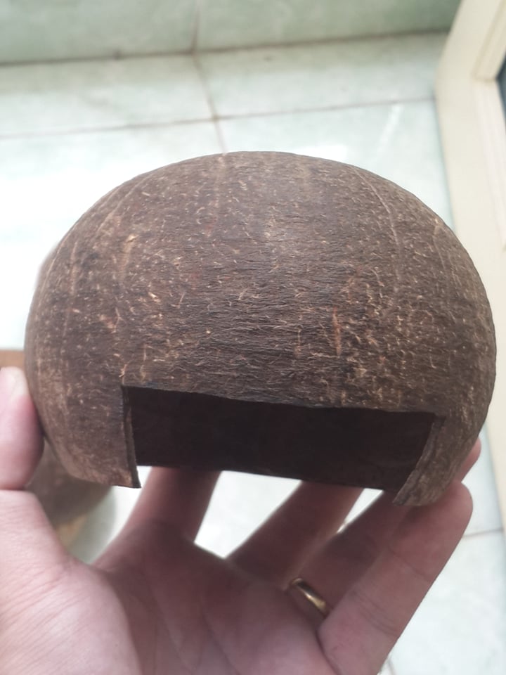 [HCM]Hang trú gáo dừa dành cho thú cưng nhỏ