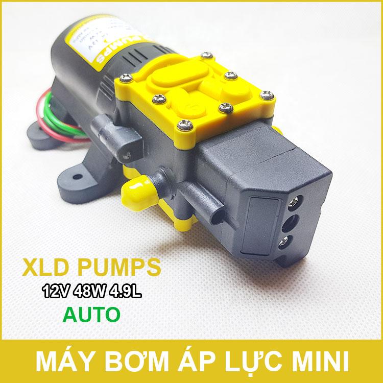 Máy bơm mini 12V 48W 4.9L