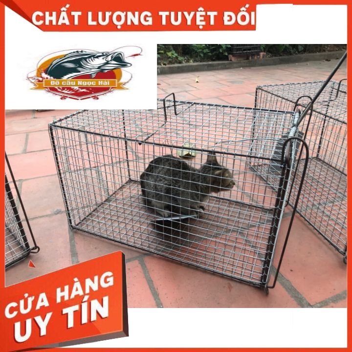 Lồng Bẫy Mèo, Chuột, Sóc Rừng... long bay meo rung, long bay meo gia re