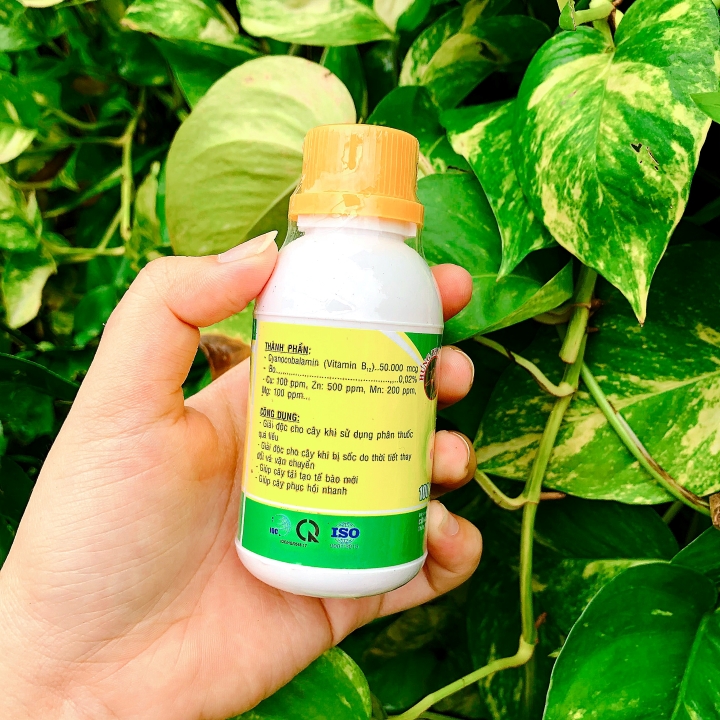 Vitamin B12 cho cây trồng chai 100ml