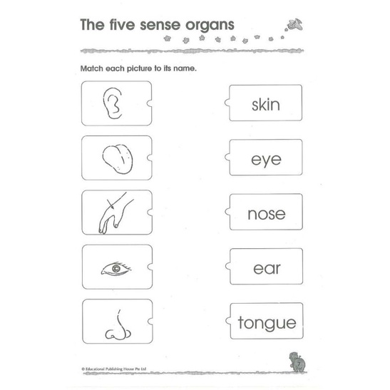 [Rẻ vô địch] Bộ 300 Kindergarten 3c Maths - Science - English