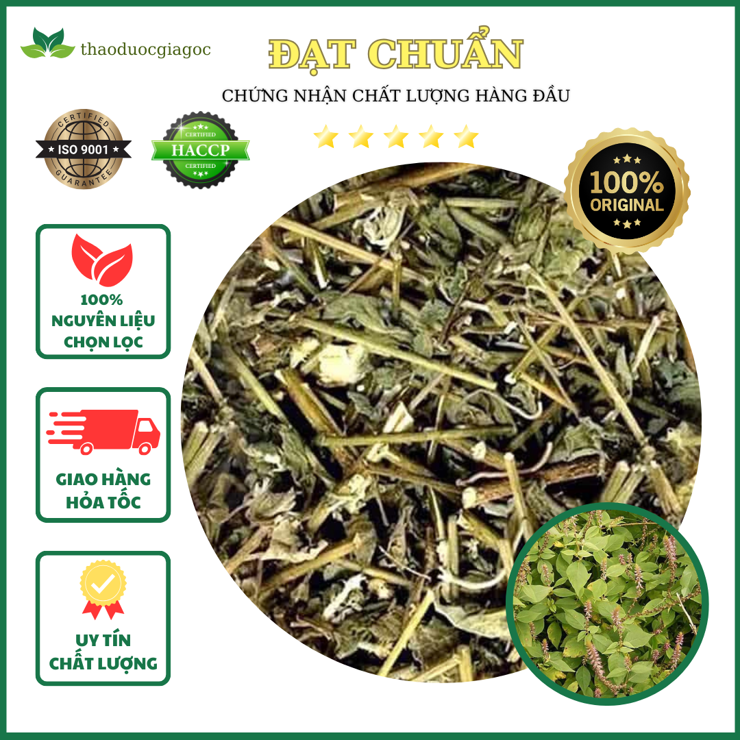 Cây cỏ xước khô (ngưu tất nam) rất tốt cho xương khớp túi 1kg