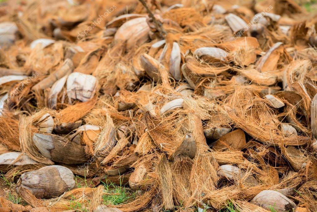 Xơ dừa miếng trồng hoa lan, Túi 200g