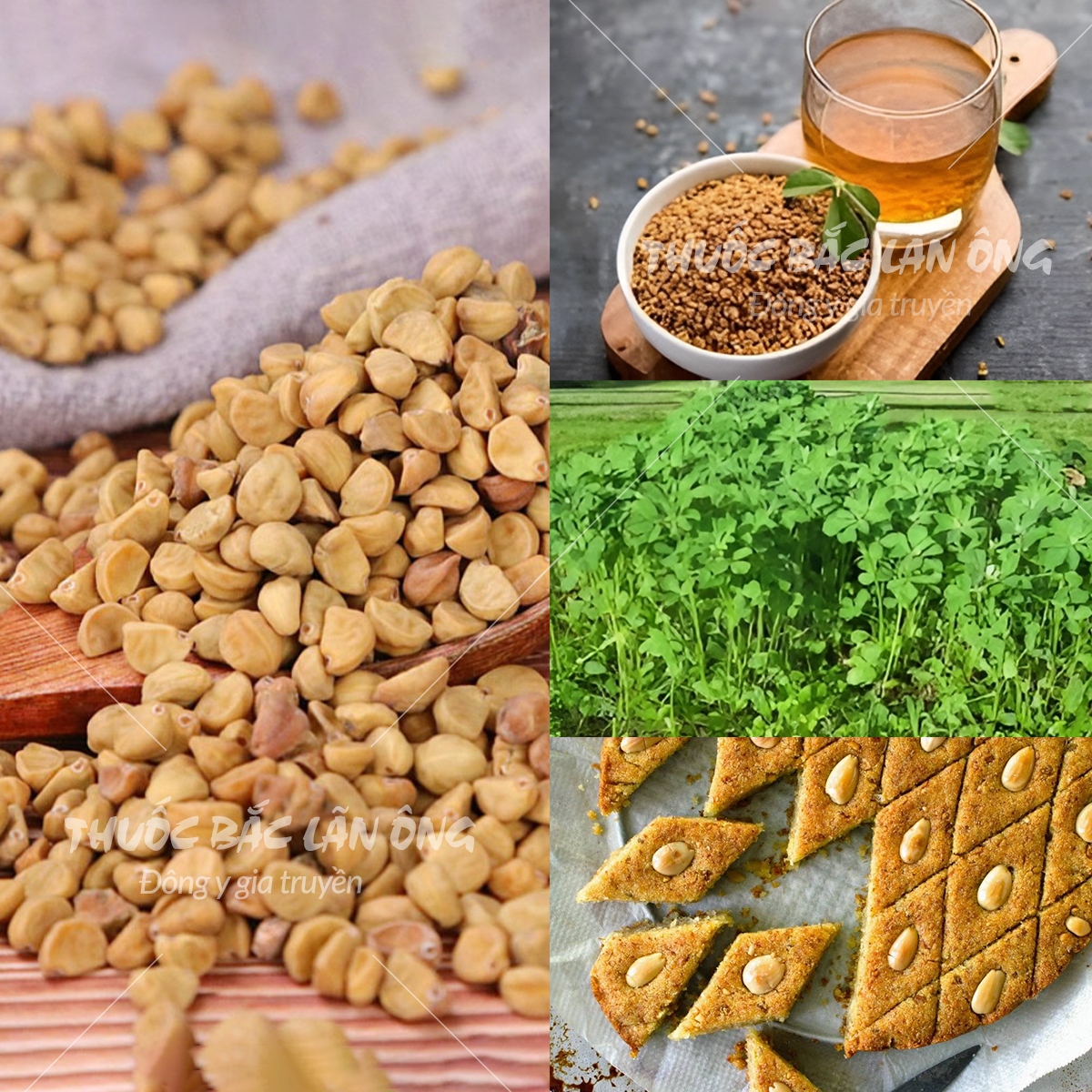 Hạt methi Ấn Độ nguyên liệu nấu cari (Fenugreek seed)