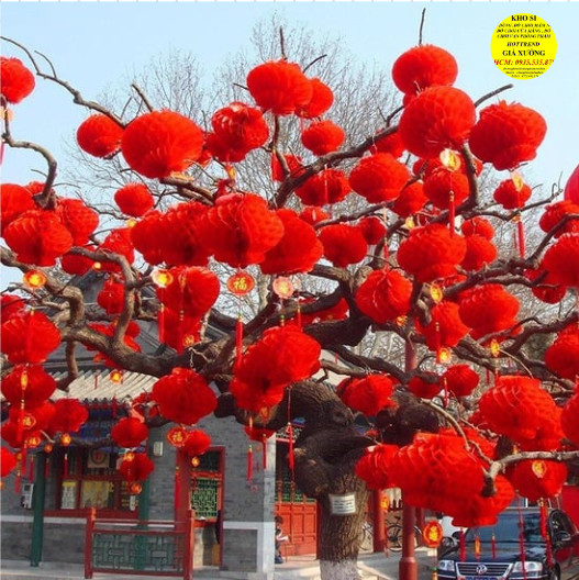 10 Lồng Đèn Đỏ Chữ Phúc