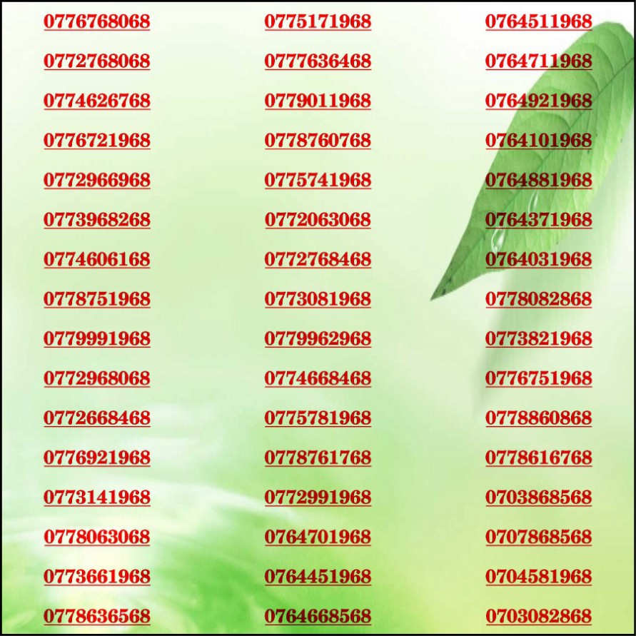 [HCM]Sim đẹp Lộc Phát 68 Mobi
