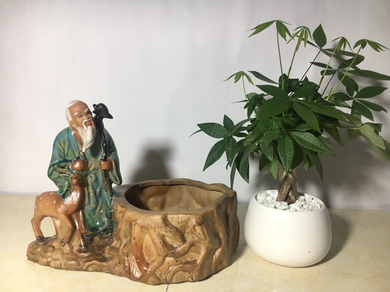 Chậu tượng Lão Mai