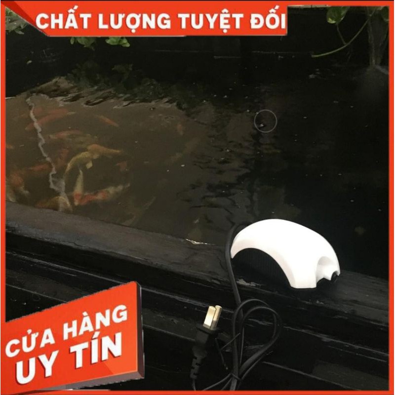 Máy sủi oxi bể cá 1 vòi - 2 vòi | máy oxy bể cá
