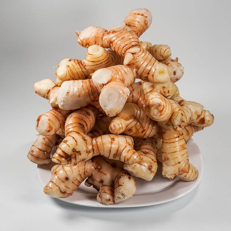 Bột củ riềng nguyên chất ( Galangal Powder )