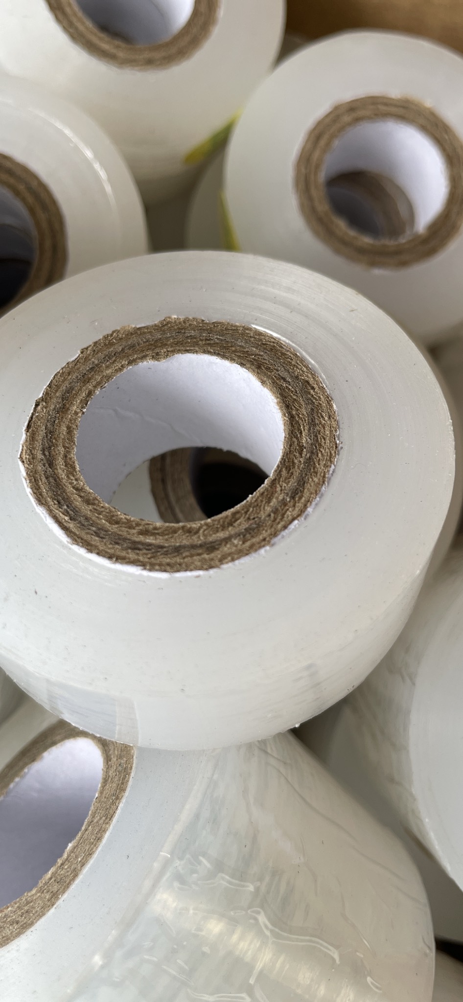 Băng keo tự hủy ghép cành 100m bản rộng 2cm hoặc 5cm