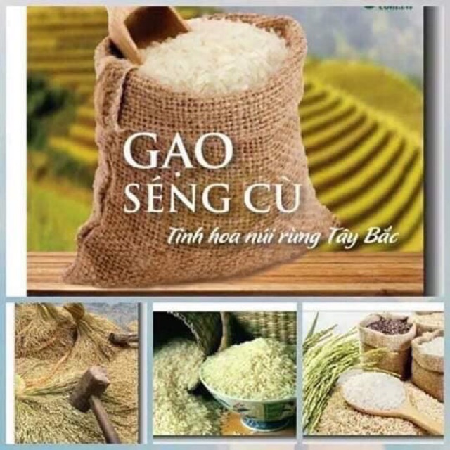 Gạo lứt Séng Cù 1kg Đặc sản Tây Bắc