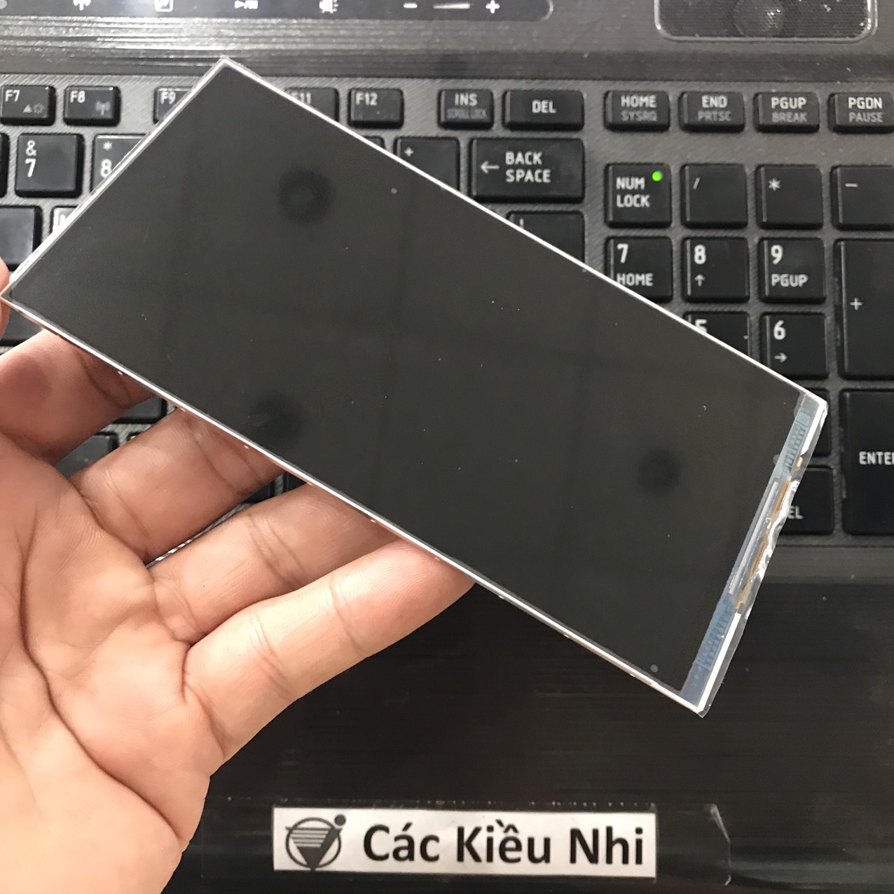 Itel	P13+ P13 Plus	Màn hình	LCD rời