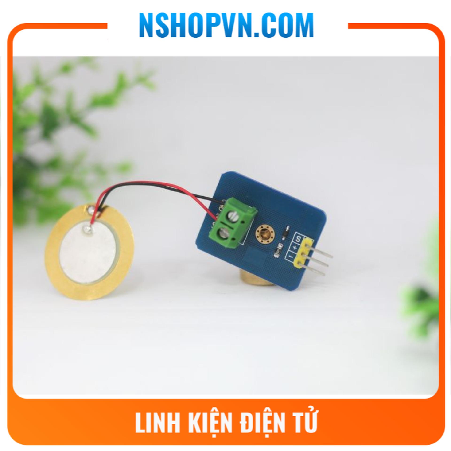 Cảm biến Rung Ceramic Analog