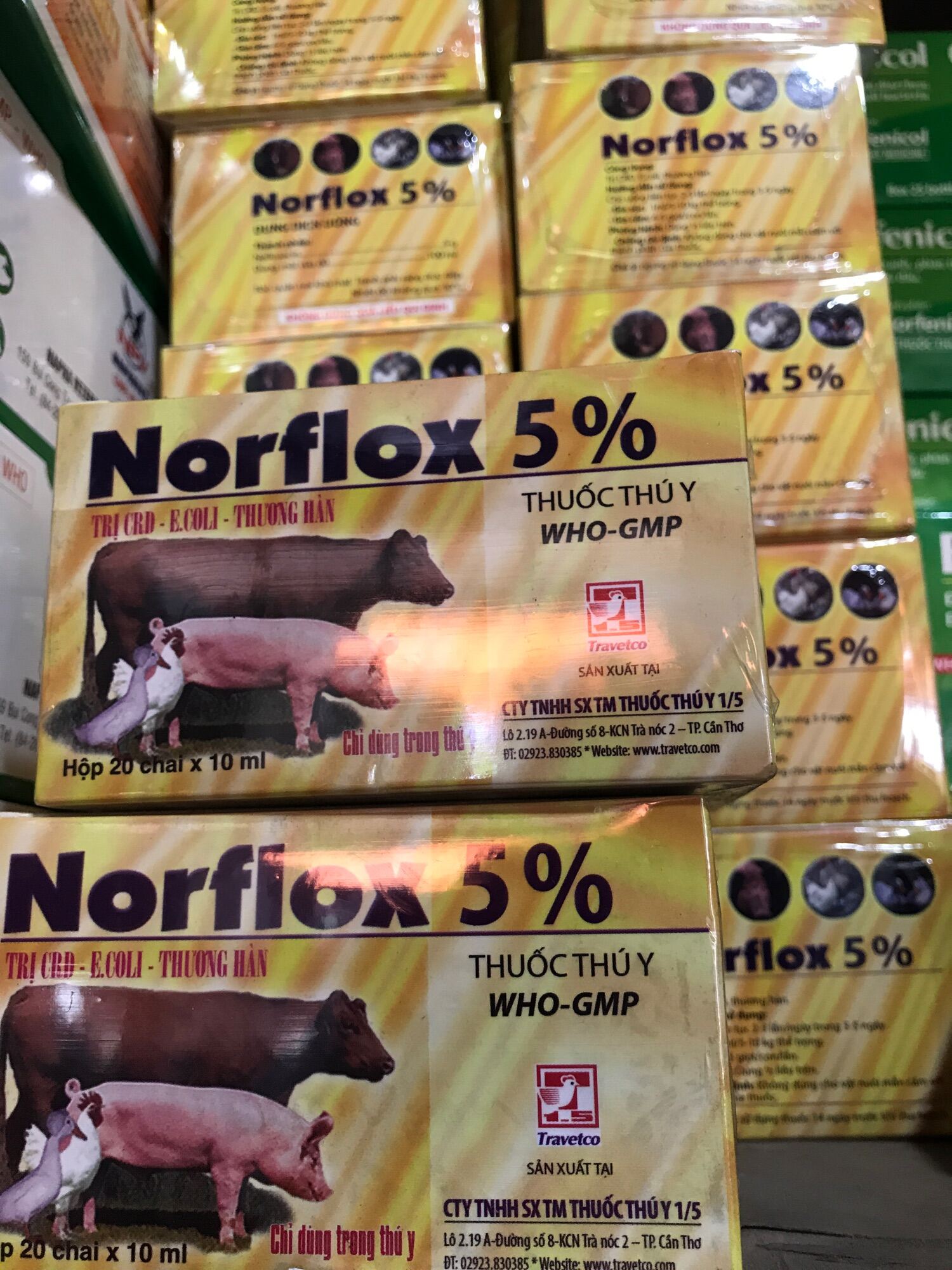 Norflox 1/5 Đặc hiệu khò khè, sưng mặt, ecoli, tiêu chảy, phân trắng