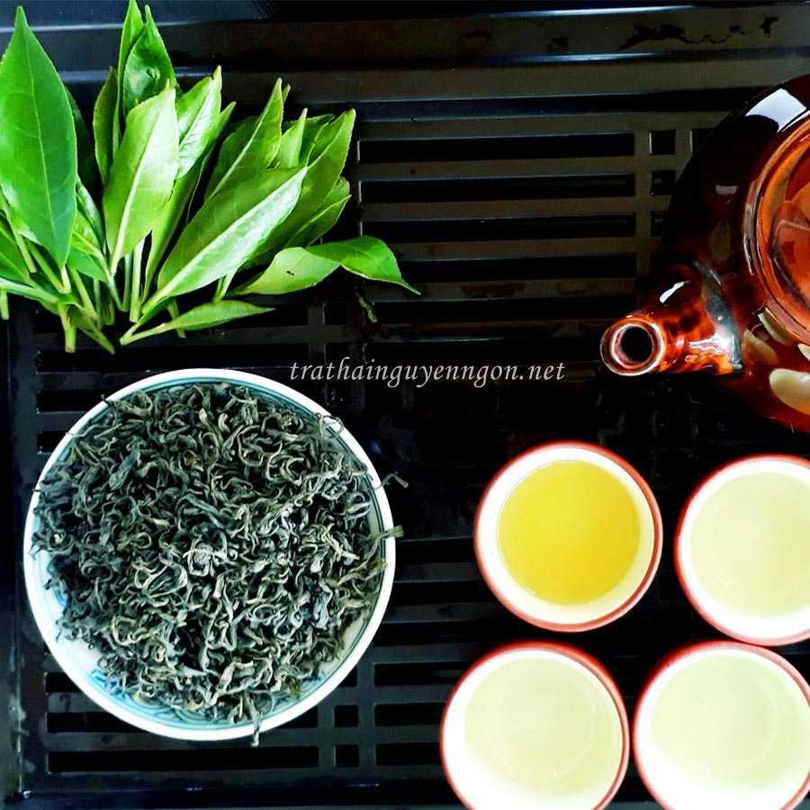 Freeship max -cây giống chè xanh thái nguyên.- vườn ươm eakmat tây nguyên