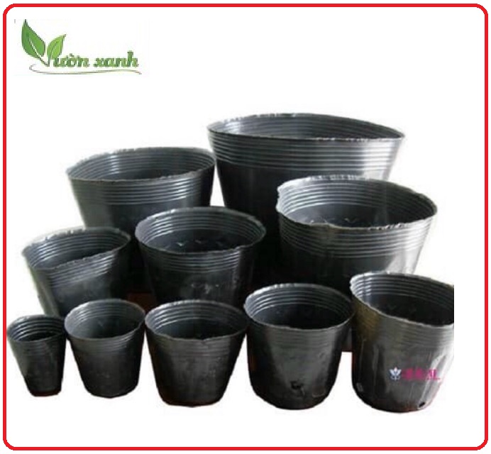 Set 10 bầu ươm cây cỡ nhỏ 12x10cm