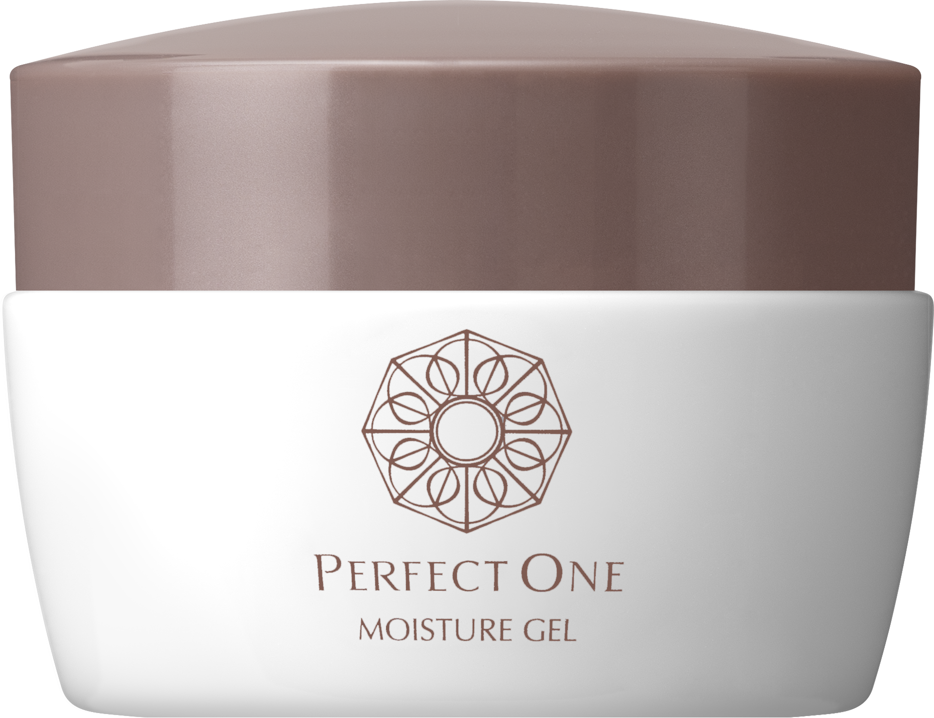 Tinh chất dưỡng ẩm PERFECT ONE Moisture Gel (6 trong 1) 75G
