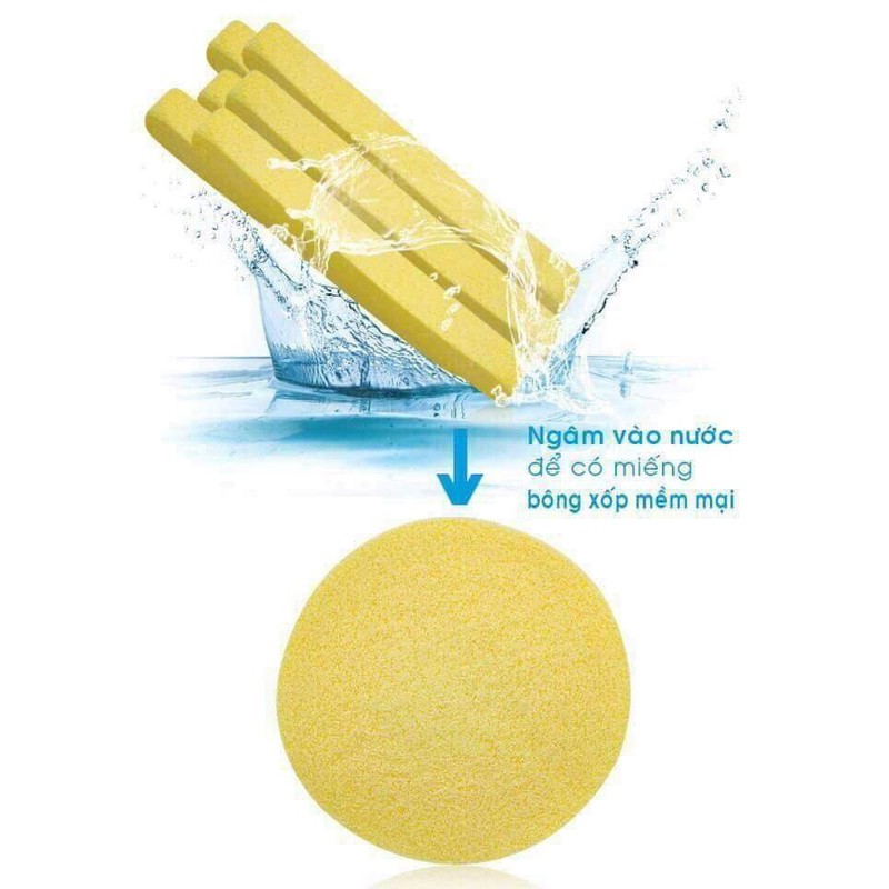 ⛔GIADUNGHOALONG⛔ Miếng mút rửa mặt dạng nén (VỈ 12 MIẾNG)