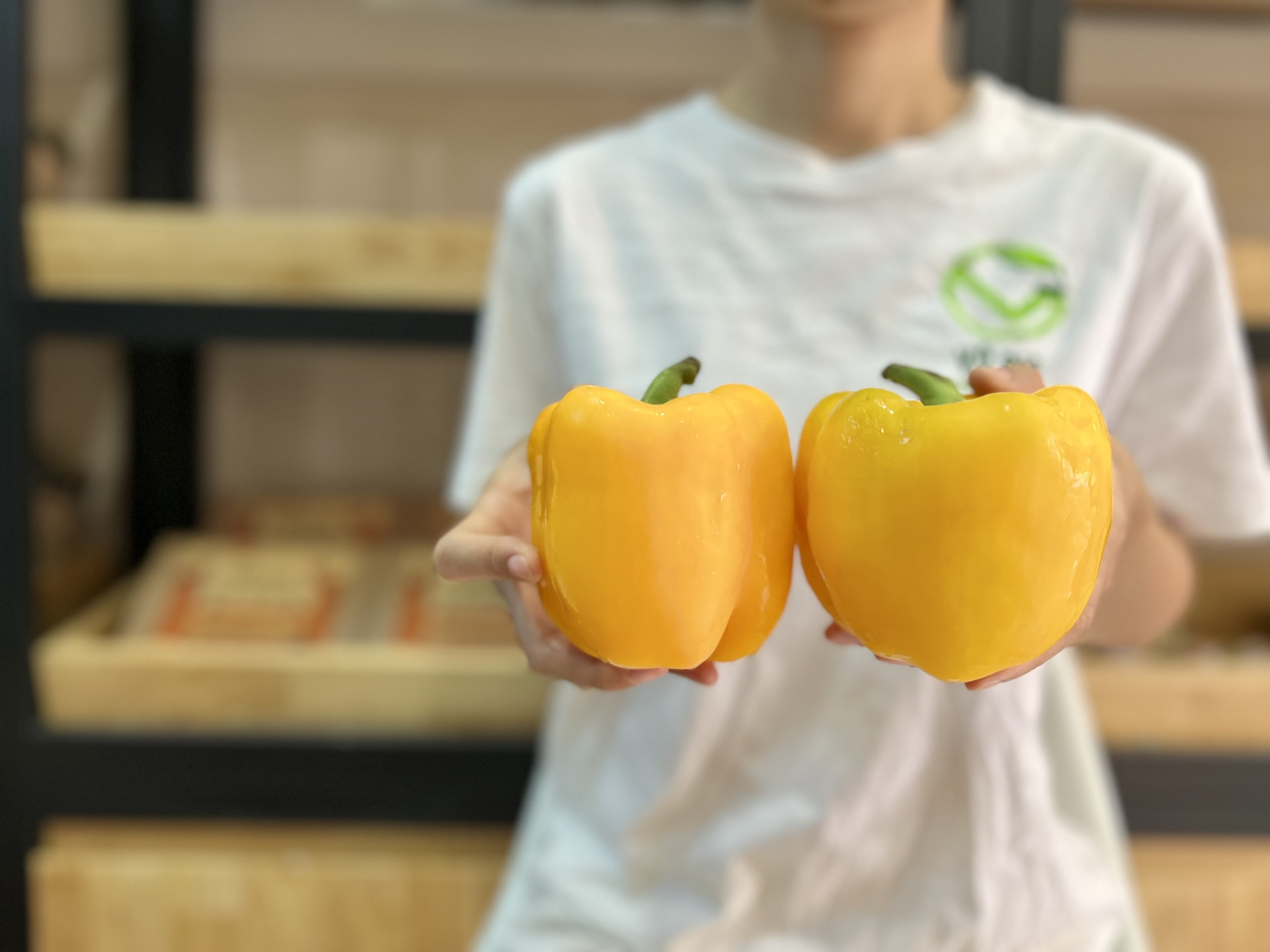 VG FARM Ớt Chuông Đà Lạt (500G/1KG)