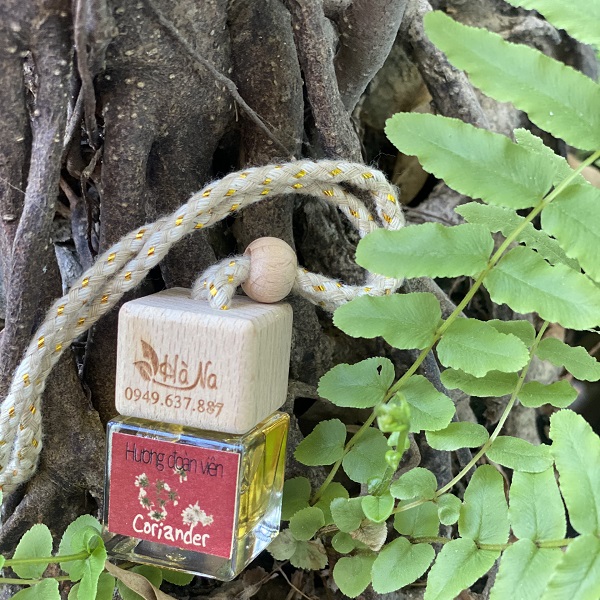 Tinh Dầu Treo Mùi Già Hà Na