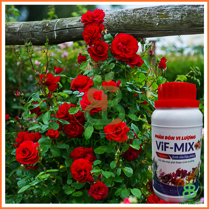 Phân Bánh Dầu Đậu Phộng Vif Mix Chai 250ml