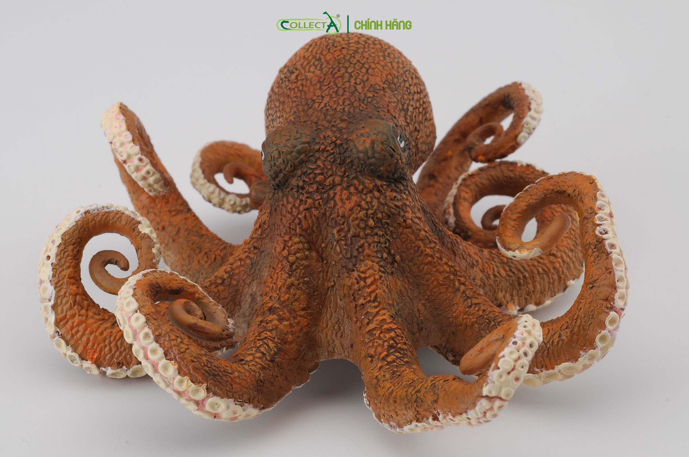 Đồ chơi mô hình động vật CollectA Bạch Tuộc - Octopus