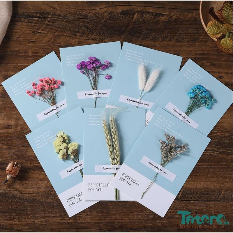 Thiệp basic Hoa Lá Khô - Thiệp vuông basic beautiful everyday