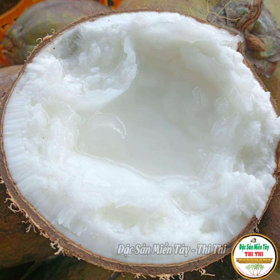 COMBO 2 Dừa Sáp Thượng Hạng Loại 1 Size Nhỏ (Trái 600gr-800gr)