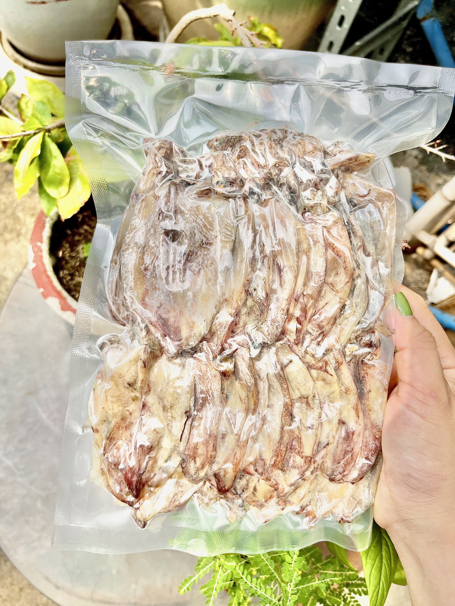 500G KHÔ MỰC NHỎ 110-130C NỮA KÍ