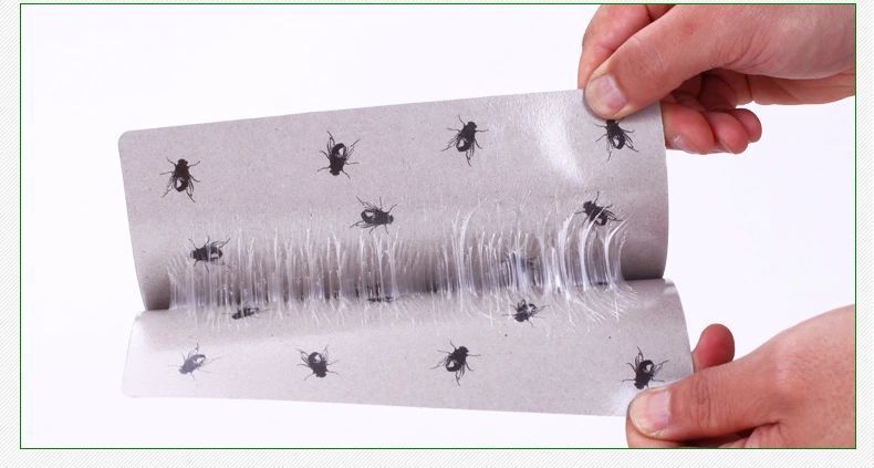Miếng keo dính ruồi (xanh) siêu hiệu quả