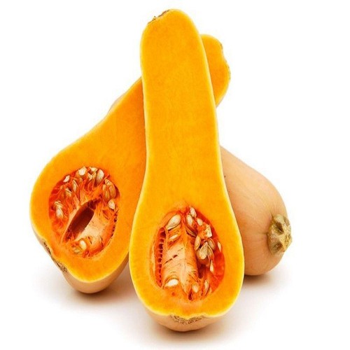 Bí Đỏ Mật Đức Trọng – Lâm Đồng