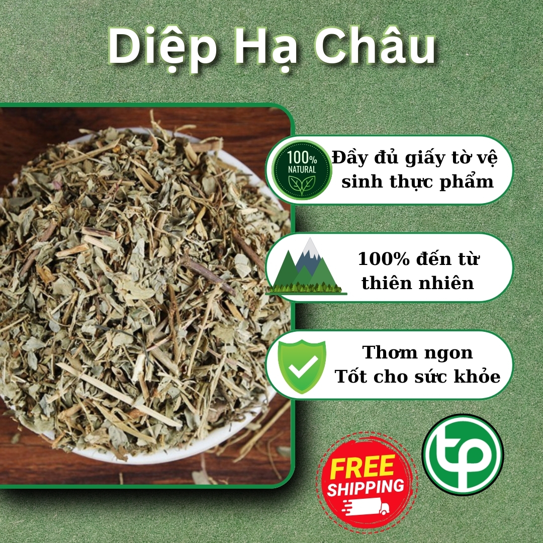 [Large Bag of 500 Grams] Dried Diep Ha Chau - Ton Phat - High Quality First Class Product
