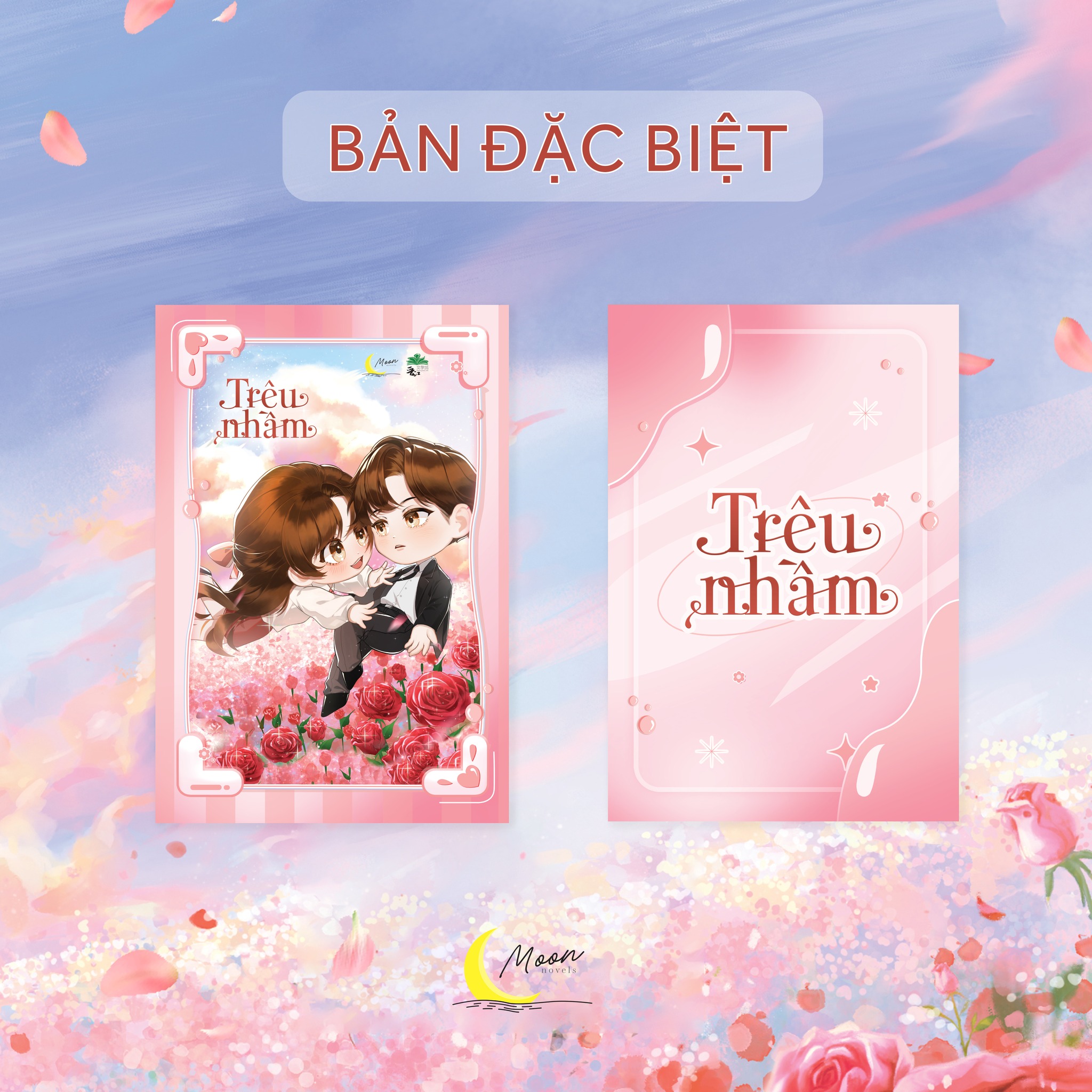 Sách Tiểu Thuyết Trêu nhầm - Kiều Diêu