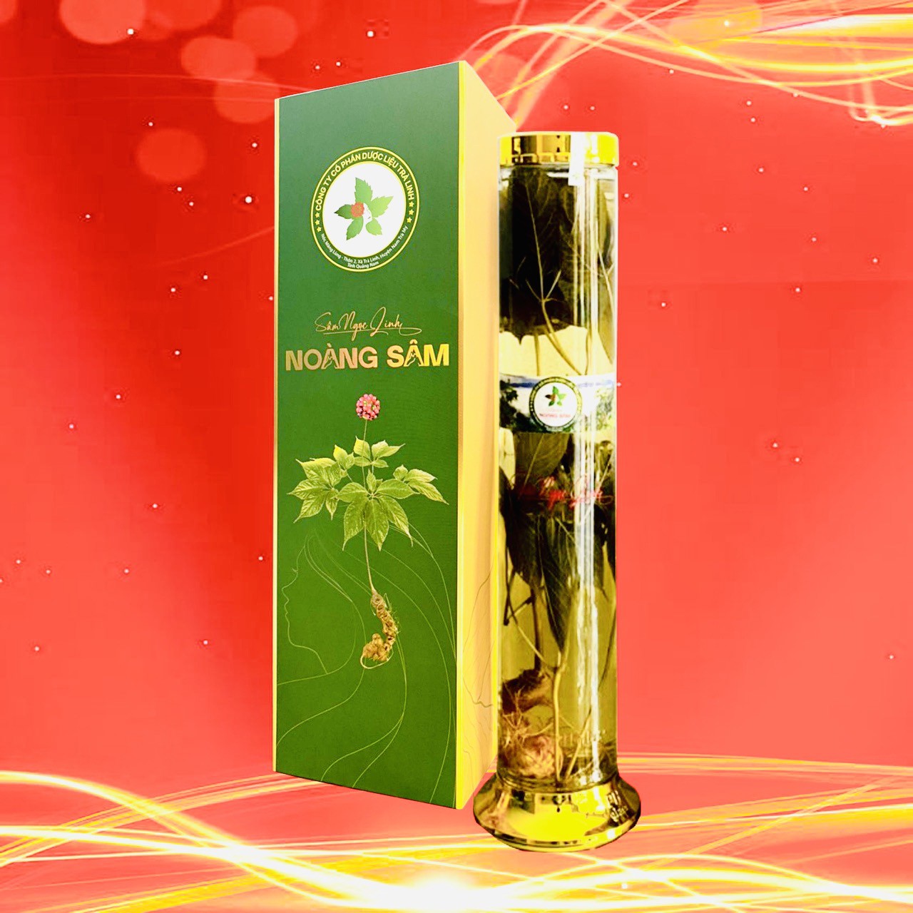 Vương sâm tửu_Cây sâm ngọc linh tươi (dưới 10 tuổi, 20 đến 25 gam), rượu 01 bình 1.000ml