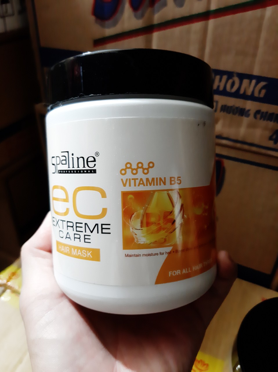 Mặt Nạ Chăm Sóc Tóc SPALINE EC EXTREME CARE 600ML