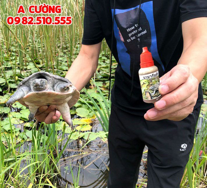 Mồi Dụ Baba - Thái Lan Siêu Nhậy 20ml