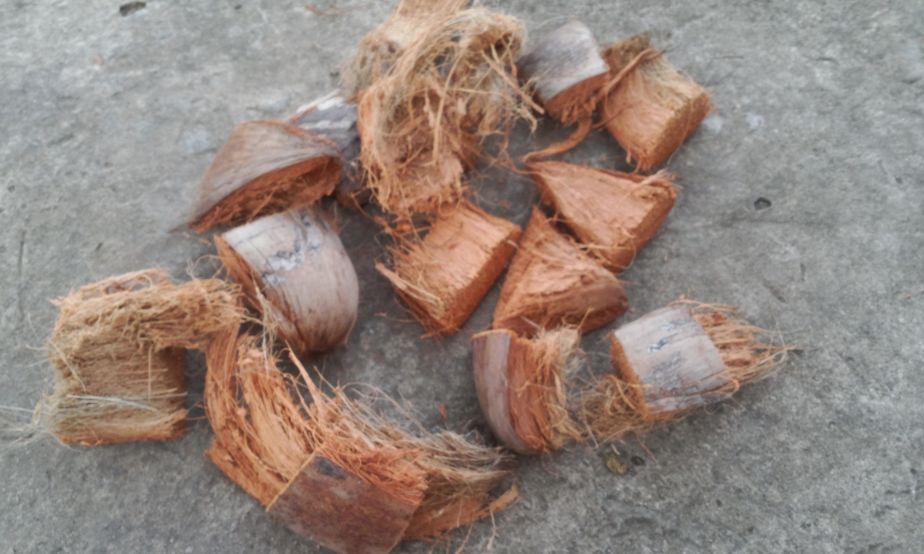 Xơ dừa miếng 200 gr