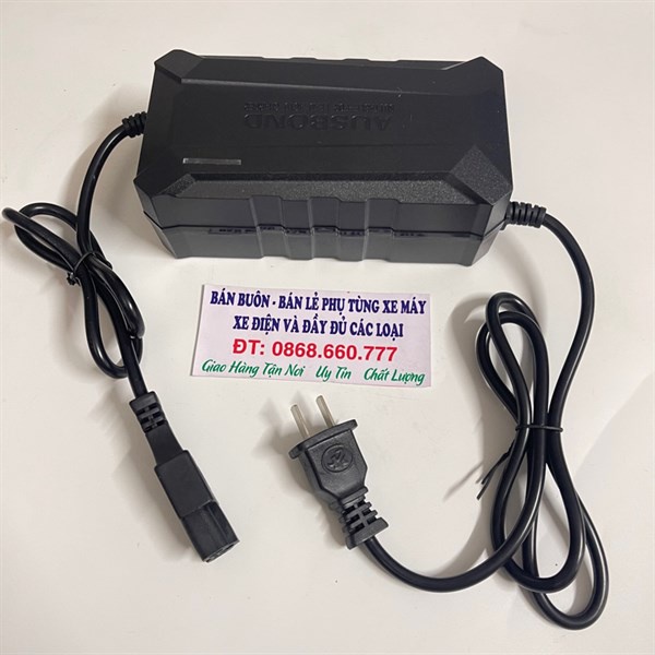 Sạc Xe điện 12-48V