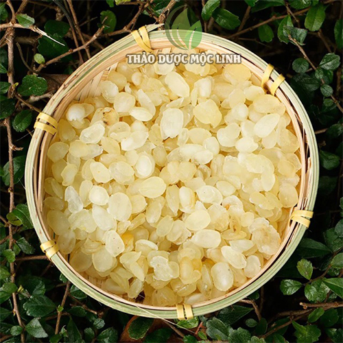 100g Hạt bồ mễ (Tuyết liên tử) cao cấp giàu dinh dưỡng